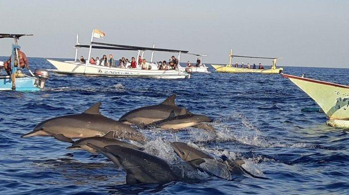 Day Trip from Ubud to Lovina