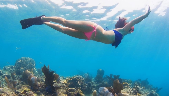Menjangan Island Snorkeling Packag