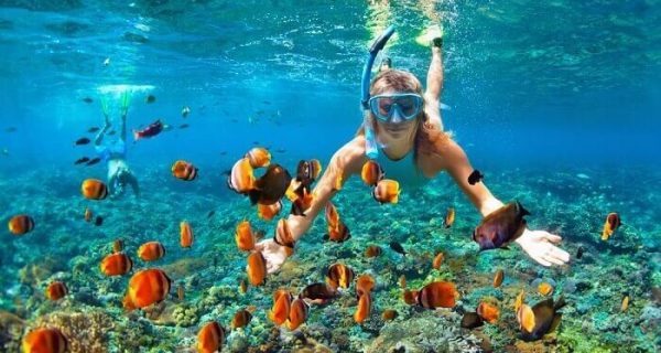 Paket Tour Snorkeling Pulau Menjangan