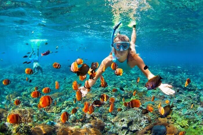 Paket Tour Snorkeling Pulau Menjangan